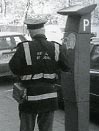 Traffic Warden