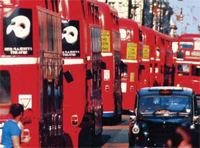 This Call Sign photo is 8 years old and bus numbers have increased greatly since then!