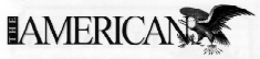 American Logo (10235 bytes)