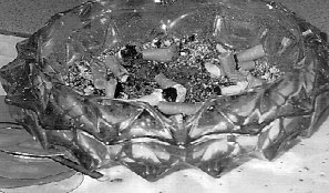 ashtray.jpg (20289 bytes)