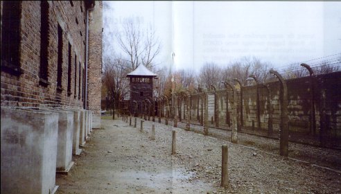 auschwitz3.jpg (36832 bytes)